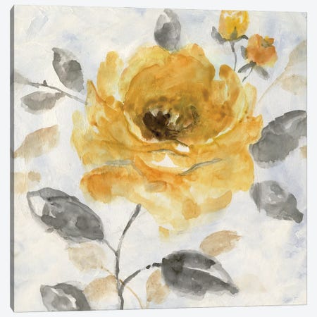 Honey Rose I Canvas Print #NAN117} by Nan Art Print