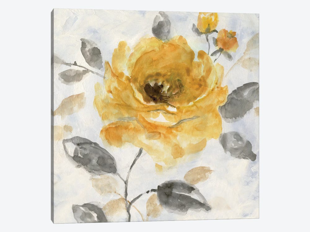 Honey Rose I by Nan 1-piece Canvas Art Print