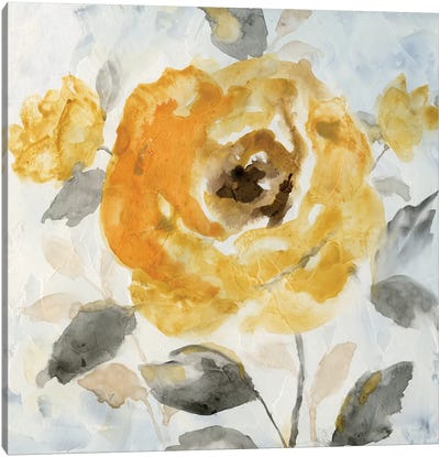 Honey Rose II Canvas Art Print - Nan