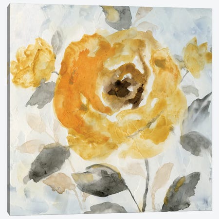 Honey Rose II Canvas Print #NAN118} by Nan Canvas Artwork