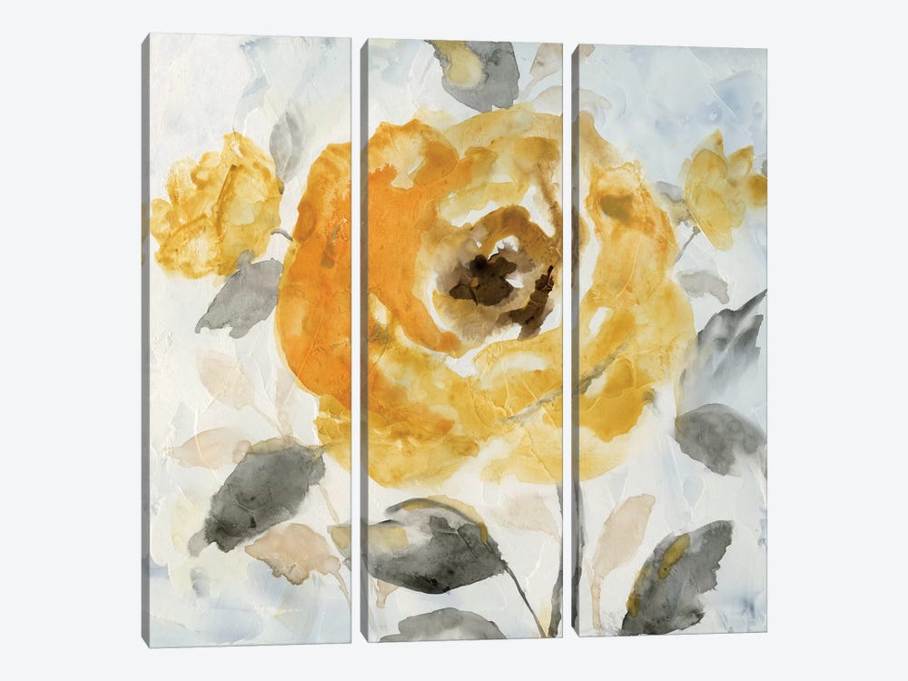 Honey Rose II by Nan 3-piece Canvas Art