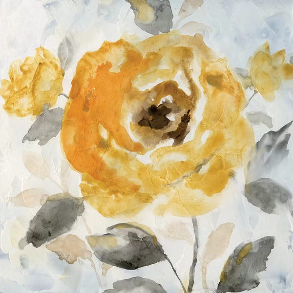 Roses: Honey Rose II by Nan