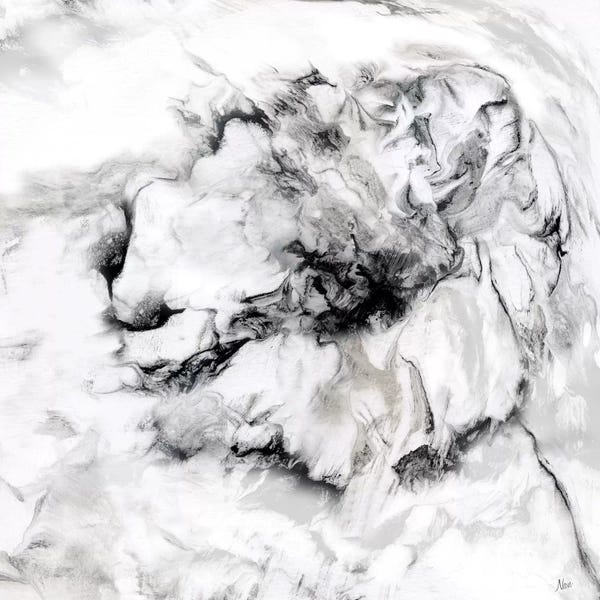 Abstract: Marble Flower II by Nan