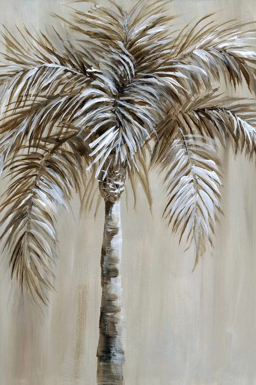 Palm Magic I