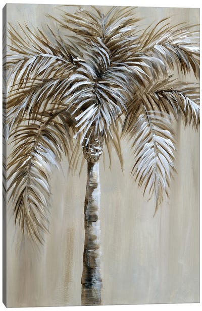 Palm Magic I Canvas Art Print - Palm Tree Art
