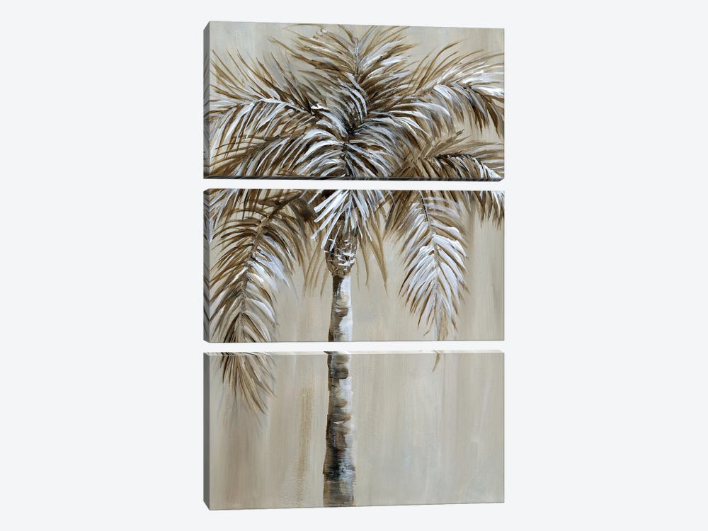 Palm Magic I by Nan 3-piece Canvas Art Print
