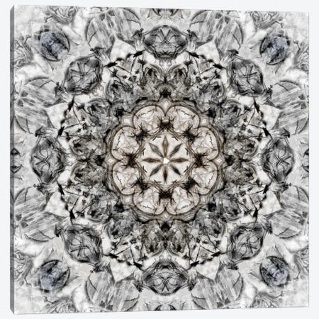 Black White Kaleidoscope I Canvas Print #NAN162} by Nan Canvas Print