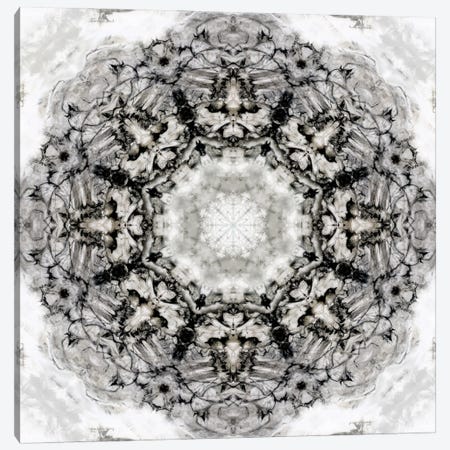 Black White Kaleidoscope II Canvas Print #NAN163} by Nan Art Print