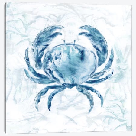 Blue Marble Coast Crab Canvas Print #NAN165} by Nan Canvas Artwork