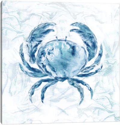 Blue Marble Coast Crab Canvas Art Print - Crab Art