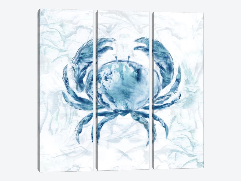 Blue Marble Coast Crab by Nan 3-piece Canvas Art