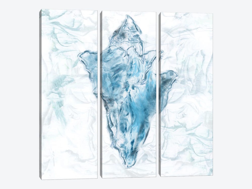 Blue Marble Coast Shell by Nan 3-piece Art Print