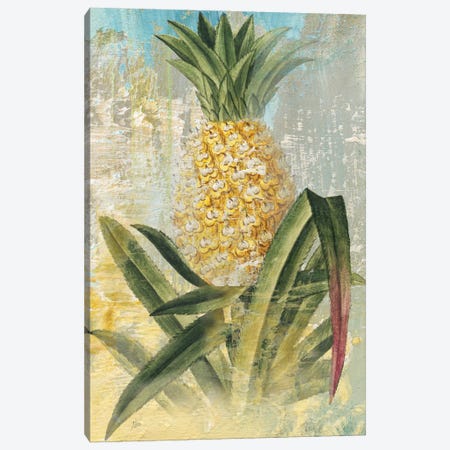 Botanical Pineapple Canvas Print #NAN169} by Nan Art Print