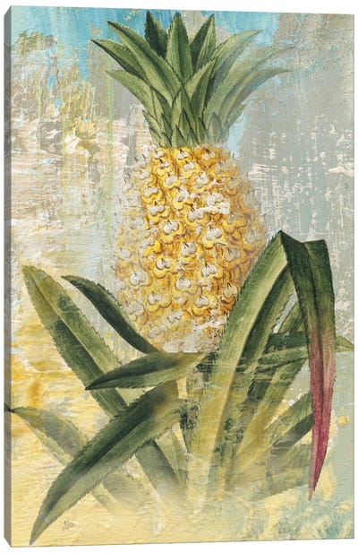 Botanical Pineapple Canvas Art Print - Pineapples