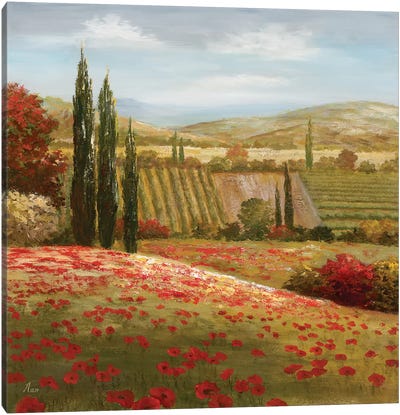 Tuscan Cypress I Canvas Art Print - Vineyard Art