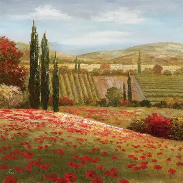 Nan: Tuscan Cypress I by Nan