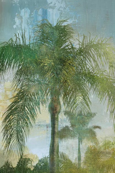 Palm Trees: Contemporary Palm by Nan