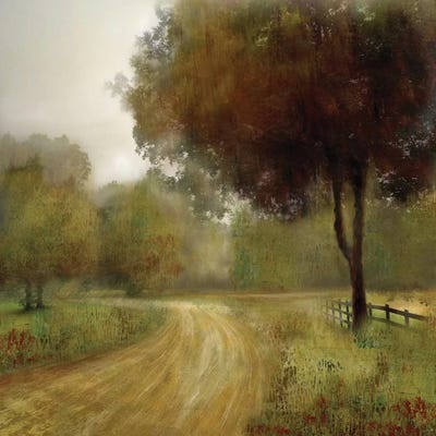 Country Road by Nan art print