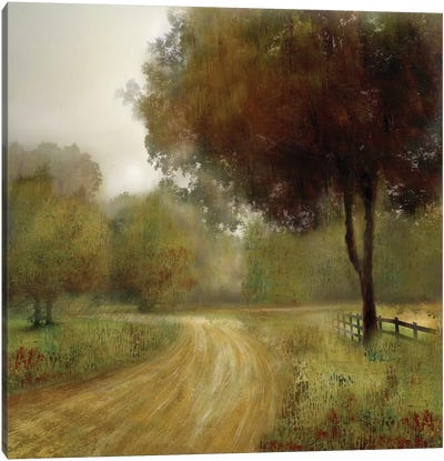 Country Road Canvas Art Print - Modern Farmhouse Décor
