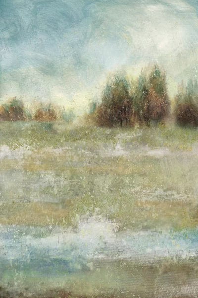 Meadow Enchantment by Nan framed canvas print