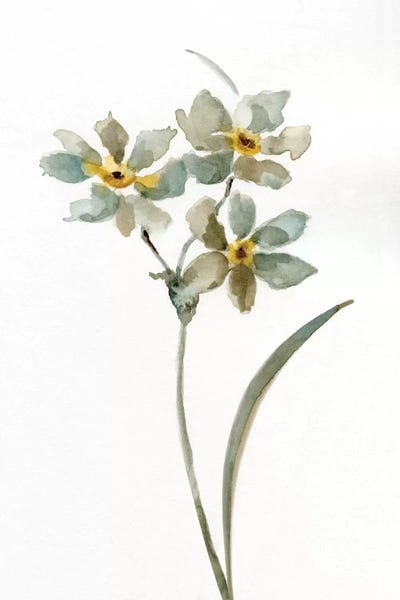 Nan: Neutral Botanical I by Nan