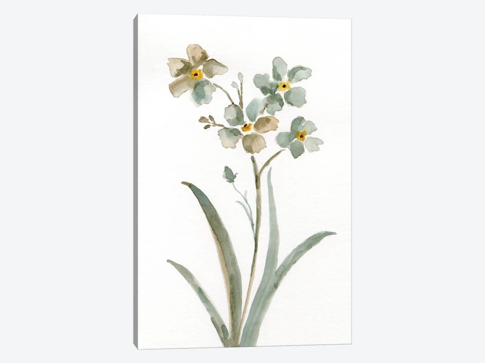 Neutral Botanical II by Nan 1-piece Canvas Print