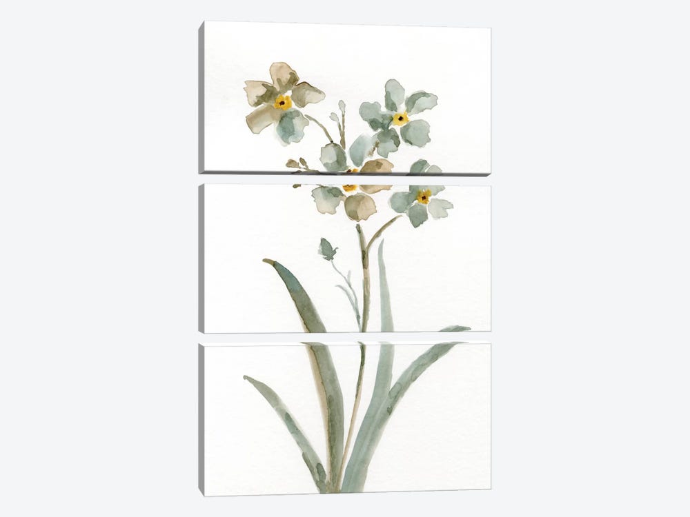 Neutral Botanical II by Nan 3-piece Canvas Print
