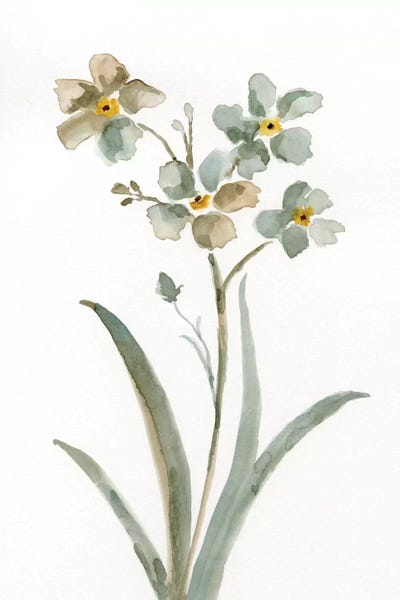 Nan: Neutral Botanical II by Nan