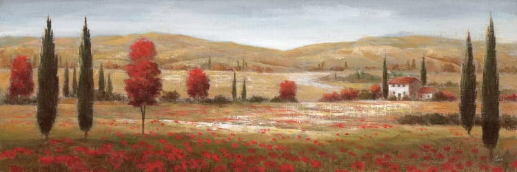 Tuscan Poppies I