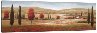 Tuscan Poppies I Canvas Art Print - Countryside Art