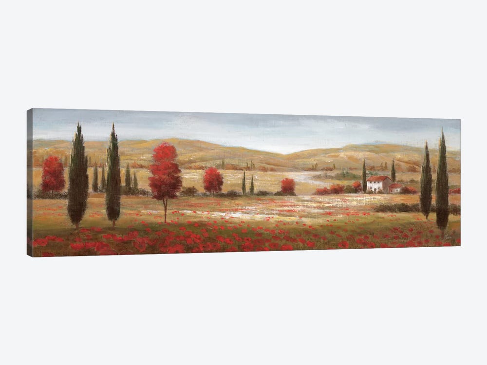 Tuscan Poppies I by Nan 1-piece Canvas Art Print