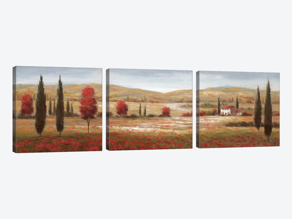 Tuscan Poppies I by Nan 3-piece Canvas Art Print
