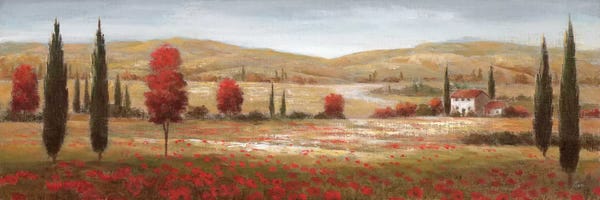 Nan: Tuscan Poppies I by Nan