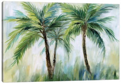 Palm Sensation Canvas Art Print - Floral & Botanical Art