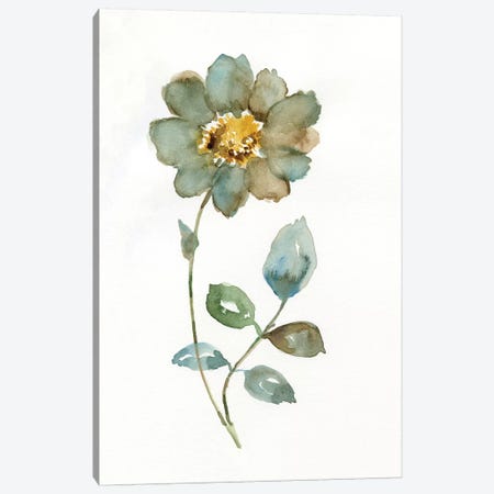 Simple Petals I Canvas Print #NAN194} by Nan Art Print
