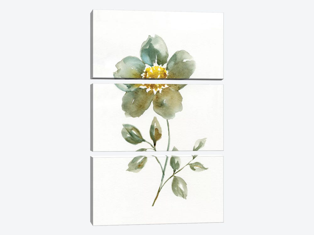 Simple Petals II by Nan 3-piece Art Print