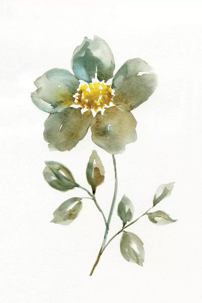 Nan: Simple Petals II by Nan