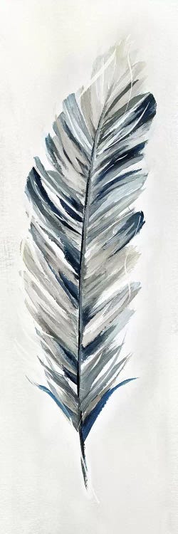 Soft Feather I by Nan wall art