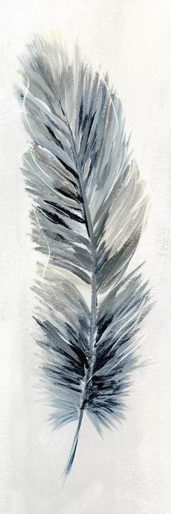 Soft Feather II by Nan wall art
