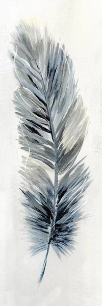 Feathers: Soft Feather II by Nan