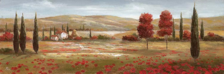 Tuscan Poppies II