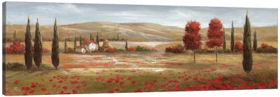 Tuscan Poppies II Canvas Art Print - Countryside Art