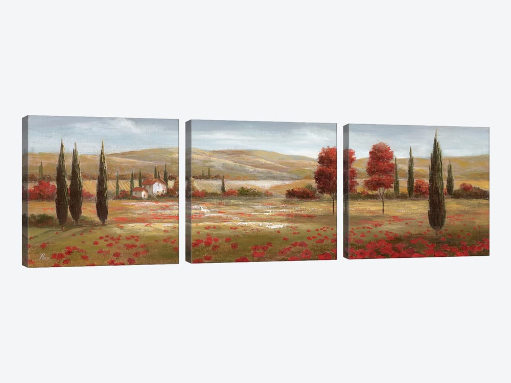 Tuscan Poppies II by Nan 3-piece Canvas Wall Art
