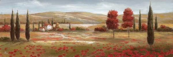 Countrysides: Tuscan Poppies II by Nan