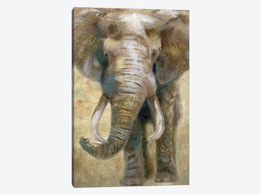 Summer Safari Elephant by Nan 1-piece Canvas Art