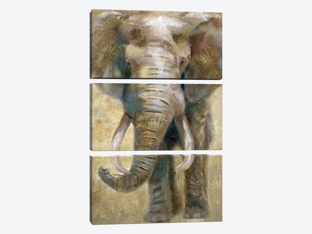Summer Safari Elephant by Nan 3-piece Canvas Artwork