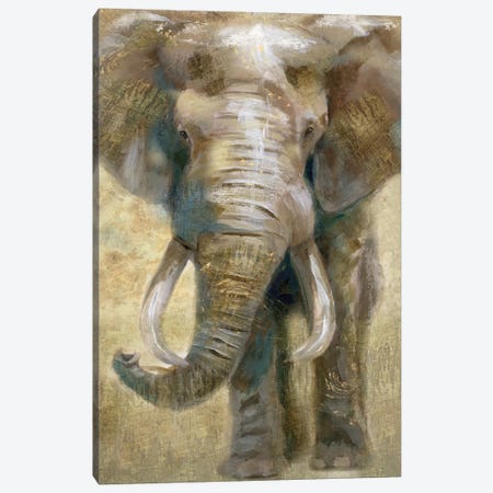 Summer Safari Elephant Canvas Print #NAN203} by Nan Canvas Wall Art