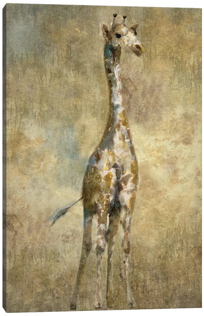 Summer Safari Giraffe Canvas Art Print - Nan