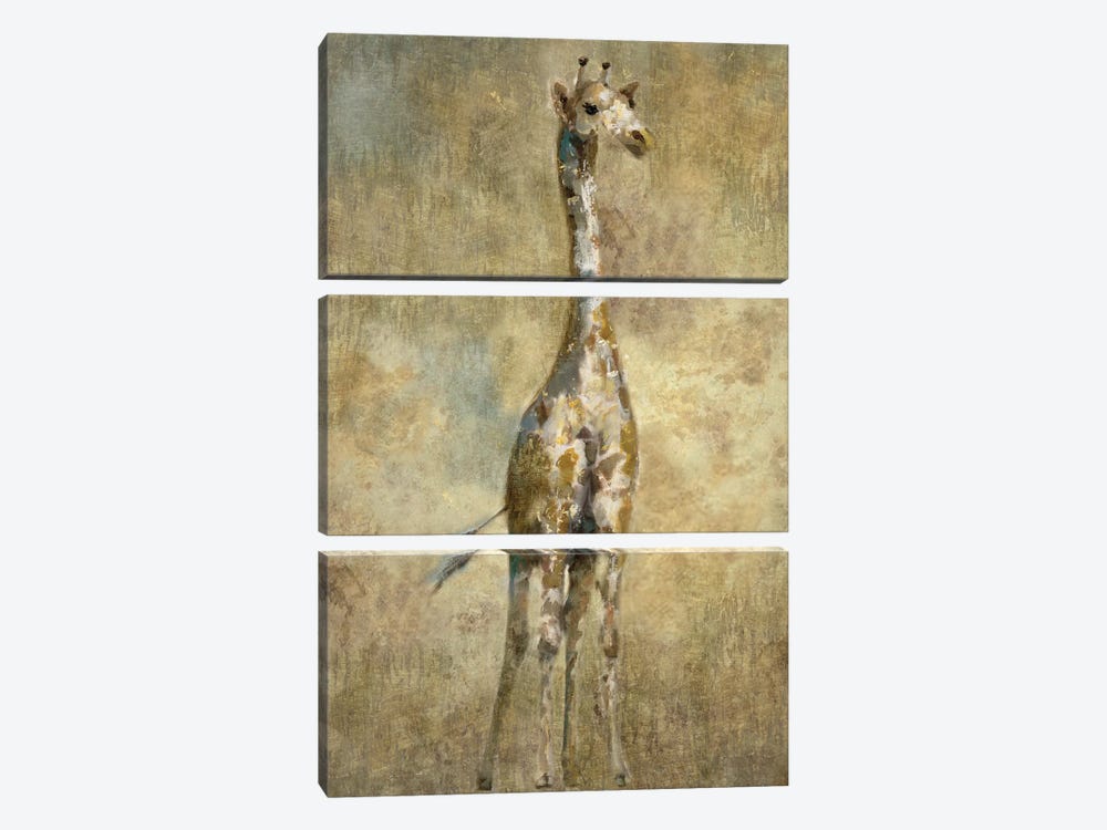 Summer Safari Giraffe by Nan 3-piece Canvas Print