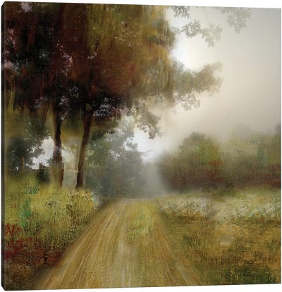 Take Me Home Canvas Art Print - Trail, Path & Road Art